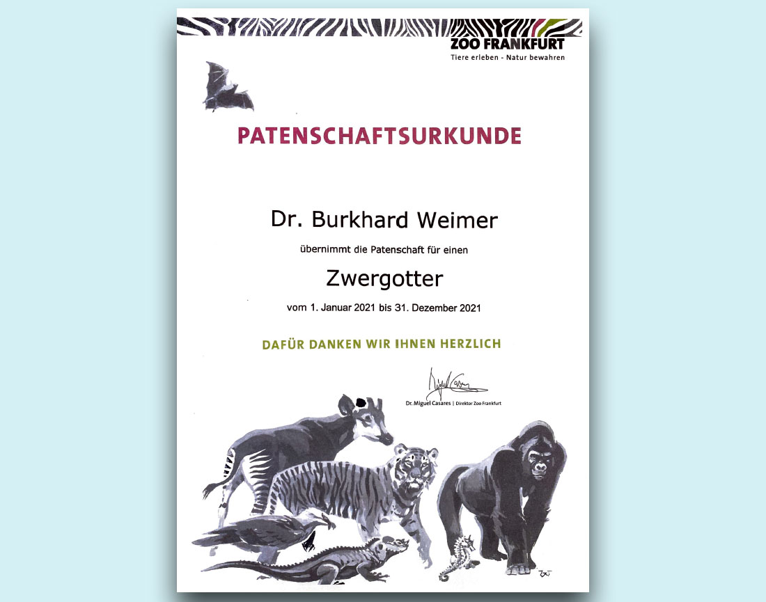 Patenschaftsurkunde von Dr. Weimer - Arztpraxis in Darmstadt